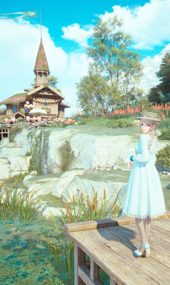 Forget me not image