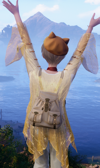 Look image