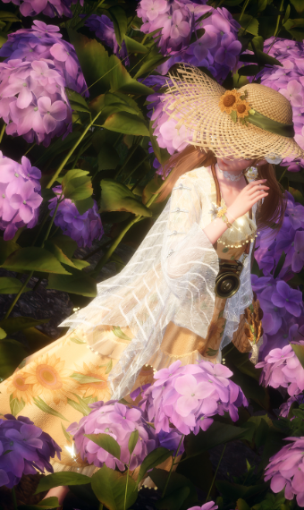 Sunny day image
