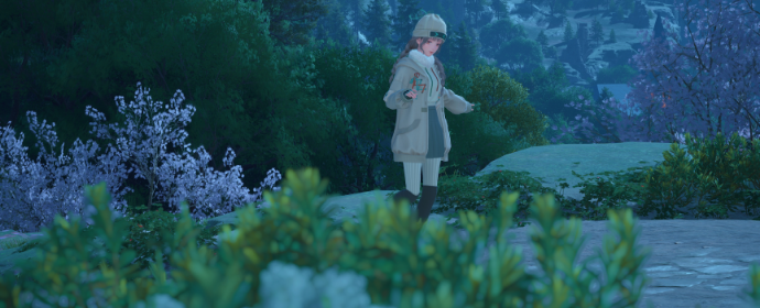 Third image