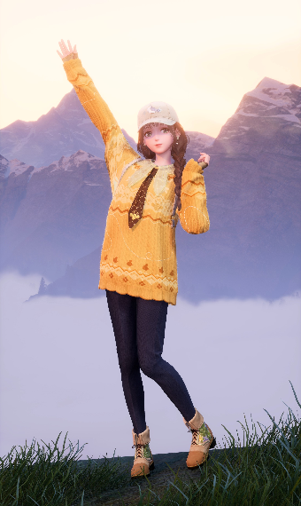 Explorer image