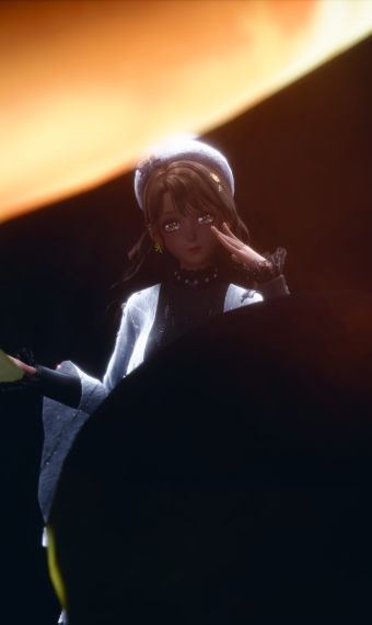 The Moon-Bog image
