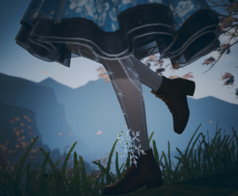 Second image