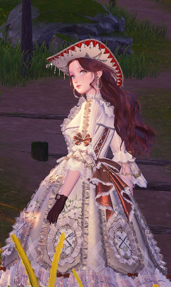 cowboy princess image
