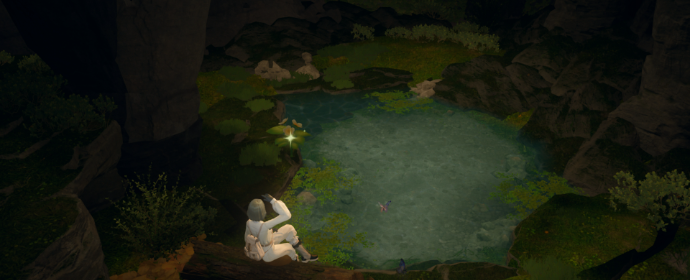 Third image