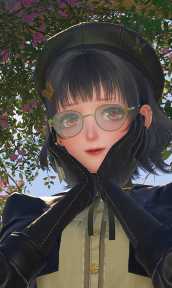 forest adventure image