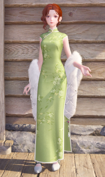 Qipao printanière image