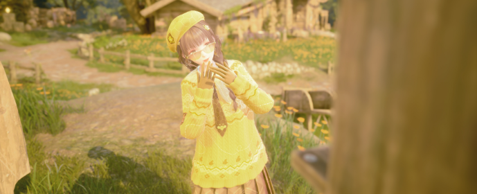 Third image