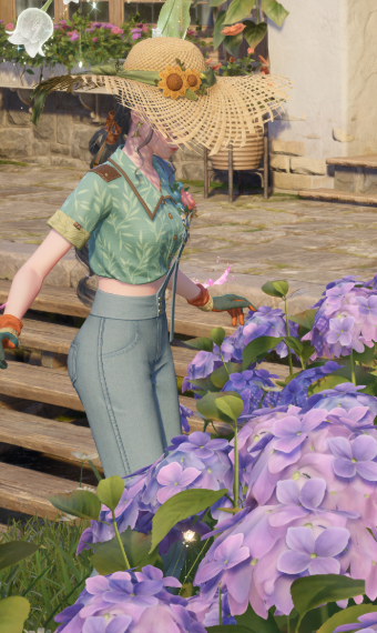 Working on my Garden image