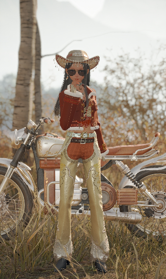 Cool cowgirl image
