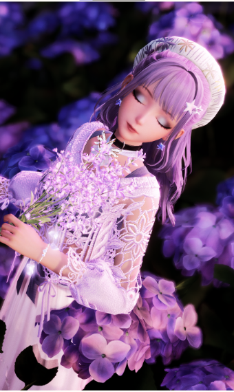 Lavender Valley image