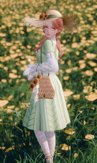 Stroll through the fields image
