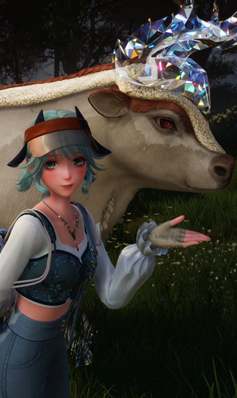 Bullquet image