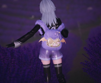 Second image