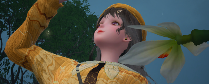 Third image