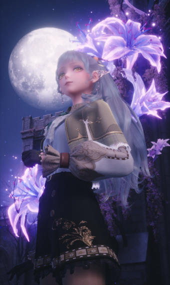 High Elf image
