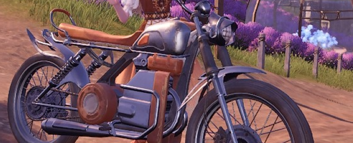 Third image