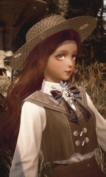 traveler image