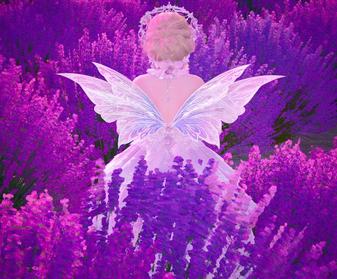 Look image