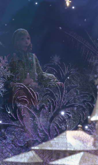 Winter wonder image