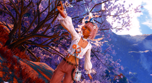 look image