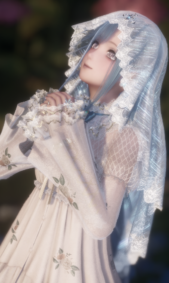 Silver bride image