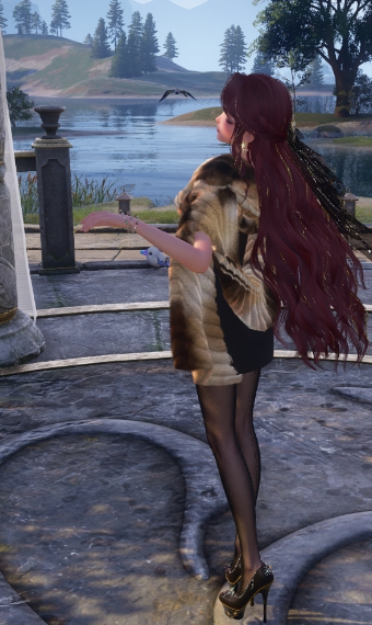 With The Fur image