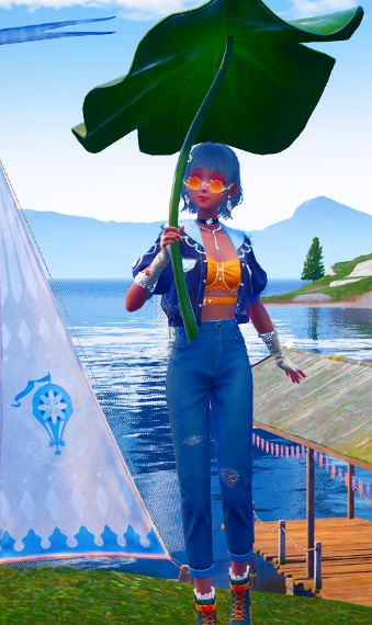 Look image
