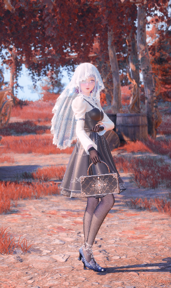 Black and White Veil image