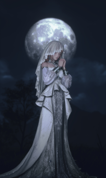 Silvergaze's Bride image
