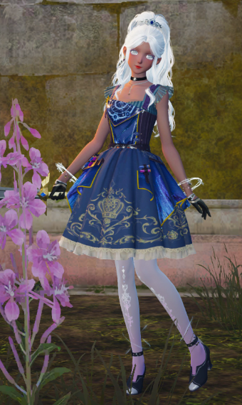 Princess or Knight? Why not both? image