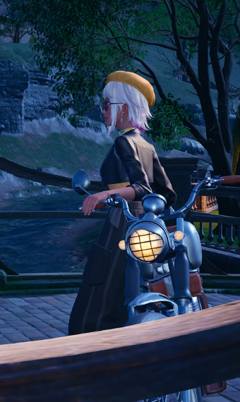 nightly excursion image