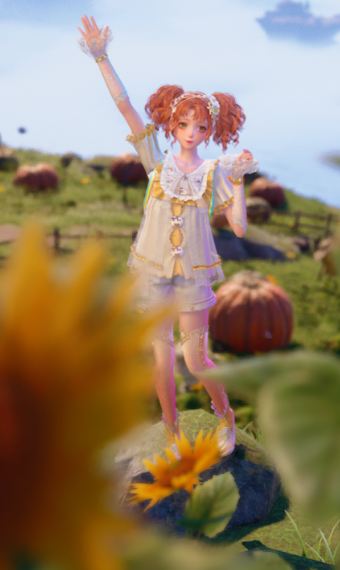 Sunshine on the Squash Fields image
