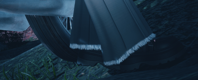 Third image