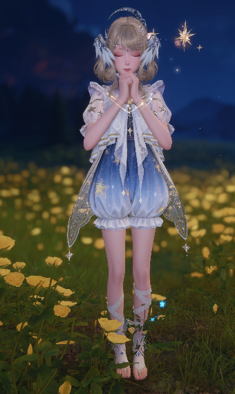 Stars on Feathers image