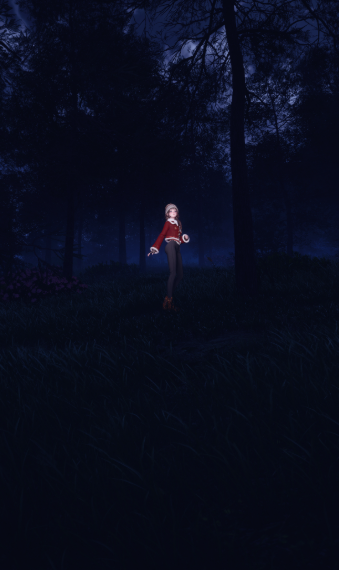 Evermore image