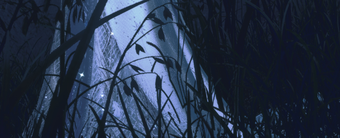 Third image