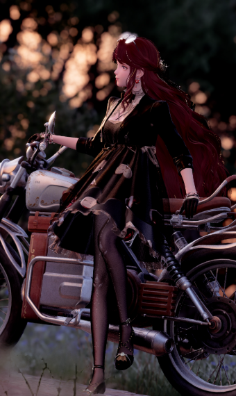 Biker Romance image