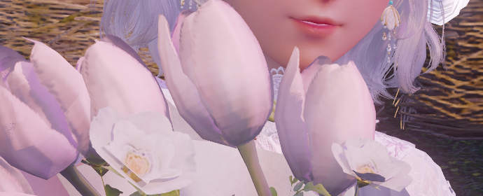 Third image