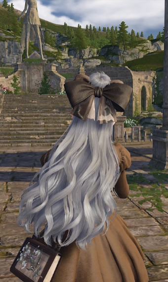 Combo accessory idea image