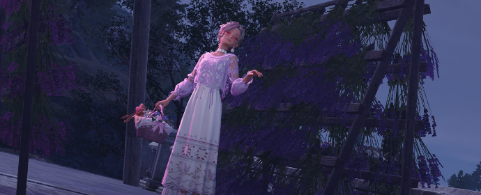 Third image