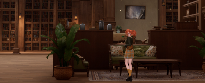 Third image