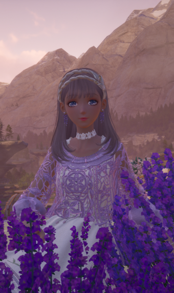 Lavender fields image