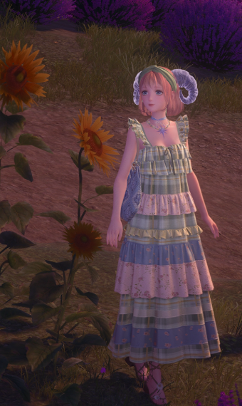 little sheep image
