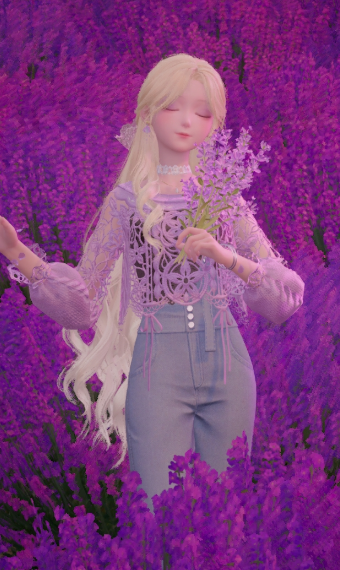 Day in the lavender fields image