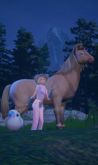 Cowgirly image