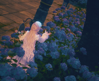 First image