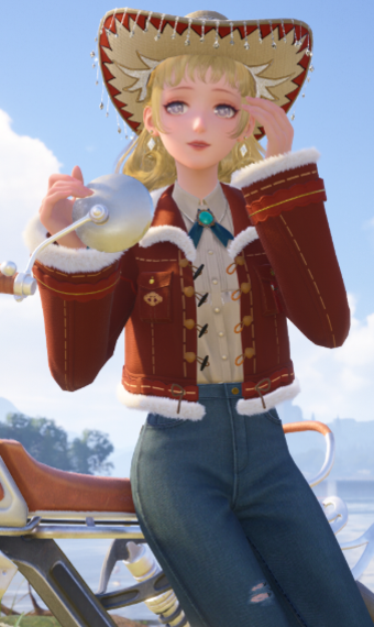Travelling Cowgirl image