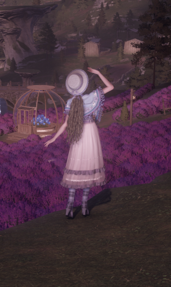 Lost at Lavender image
