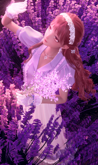 lavender image